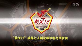 国产业余视频在线,视频在线娱乐的崛起与影响