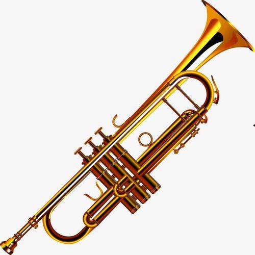 国产小号乐器大全图片视频,探寻民族特色与时代风采