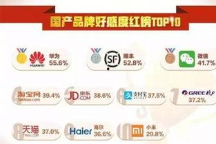 国产意思视频网站,本土文化的盛宴与创意的舞台