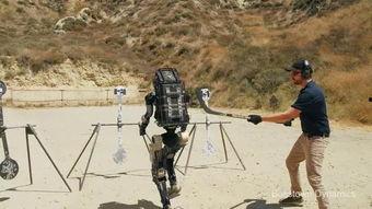 国产机器人变身视频,科技赋能，未来已来