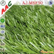 观看国产青草自操视频