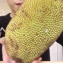 国产榴莲蜜视频,甜蜜诱惑，本土风味新体验