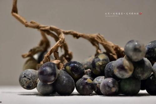 国产琉璃葡萄好吃吗视频